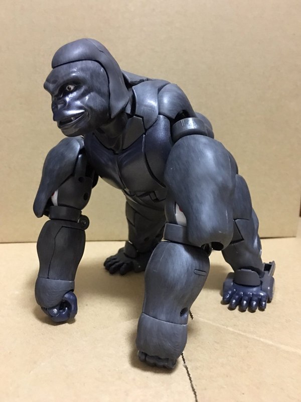 MP 32 Masterpiece Optimus Primal   In Hand Photos Surface On Twitter  (72 of 81)